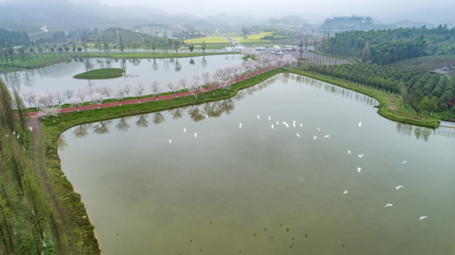 春天風(fēng)景