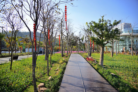 林蔭小路