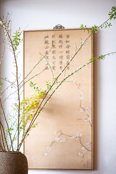 春天的花兒