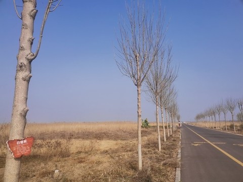 沿途風(fēng)景