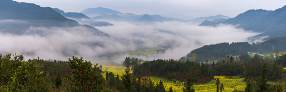 江西婺源江嶺油菜花風景