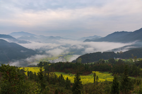 江西婺源江嶺油菜花風(fēng)景