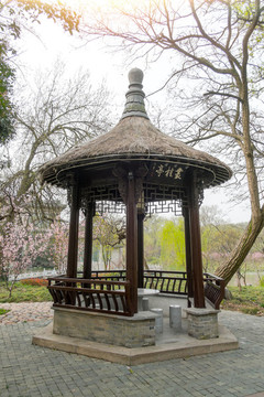 揚(yáng)州趣園叢桂亭