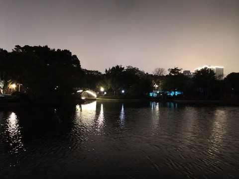 公園夜景