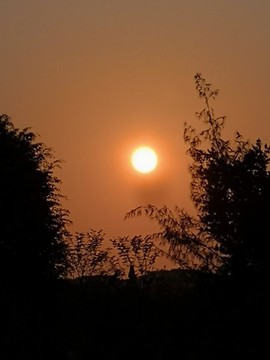公園夕陽風景