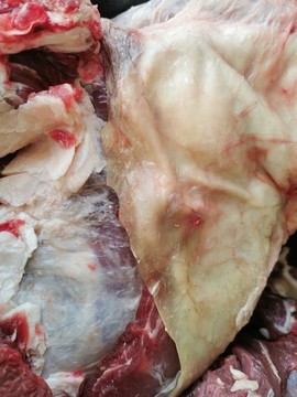 牛肉