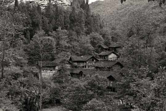 山里人家