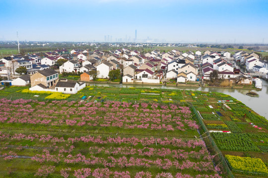 石路浜