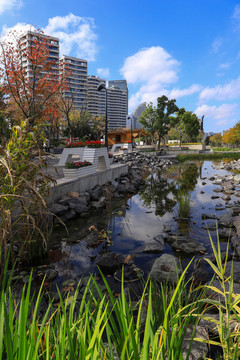 上海城市綠化