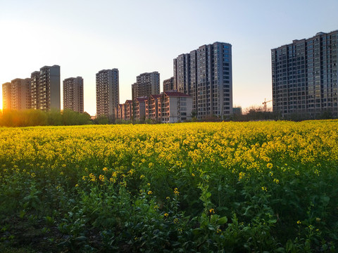 朝陽民居圖