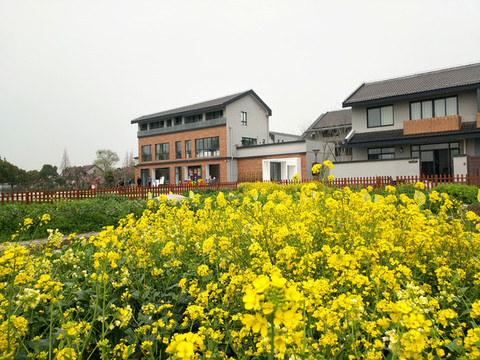 鄉(xiāng)村農(nóng)家水庫村