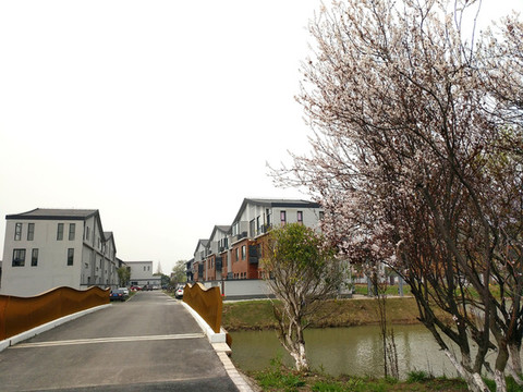 鄉(xiāng)村早春農(nóng)家