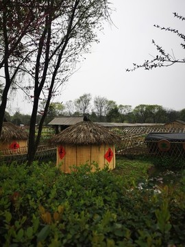 西溪濕地農(nóng)耕文化