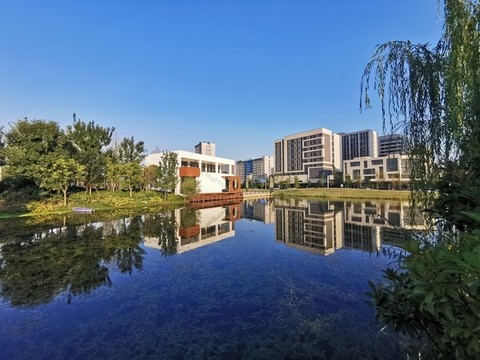 鄭州月湖公園