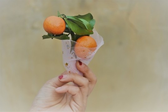 橘子