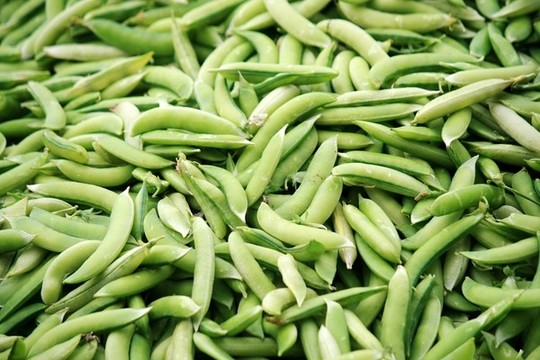 新鮮豌豆角