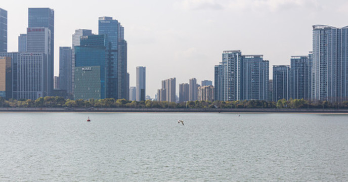 杭州錢塘江城市建筑風(fēng)景