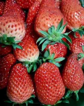 奶油草莓