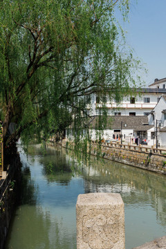 楓涇古鎮(zhèn)