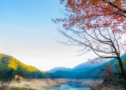 湖畔紅楓