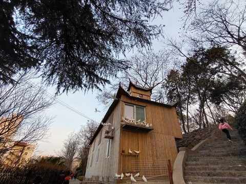 城市里的公園
