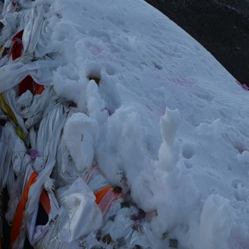 雪