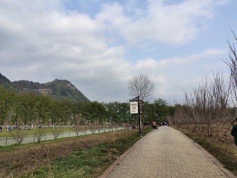 公園