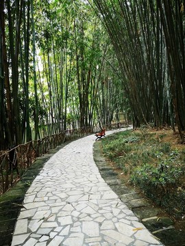 公園小路