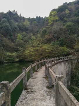 大壩山峰森林
