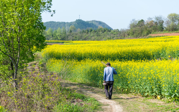 田間勞動(dòng)