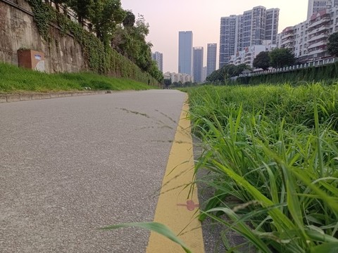 公園