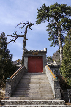 妙峰山
