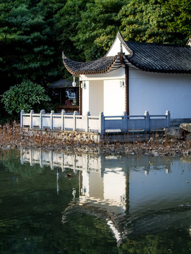 茶亭公園一角