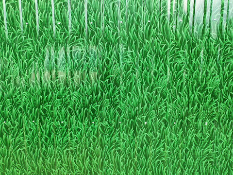 小草圍檔