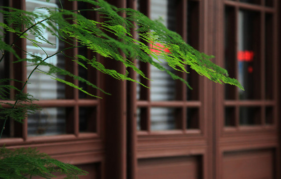 古鎮(zhèn)