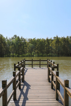 水上觀景平臺(tái)