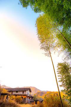 村居