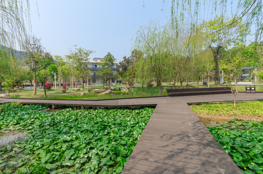 福州市赤橋公園