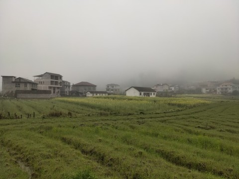 鄉(xiāng)村田園風(fēng)光
