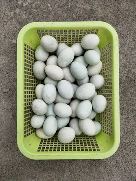 咸鴨蛋