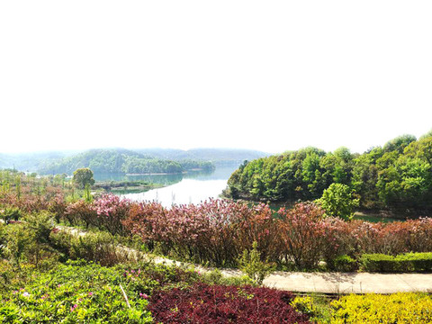 自然風(fēng)景