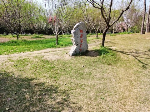 桃李滿天下