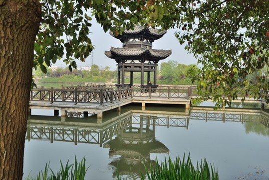 枝城鎮(zhèn)西湖公園