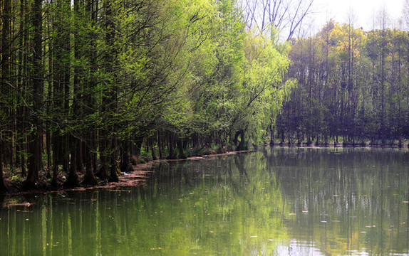 公園