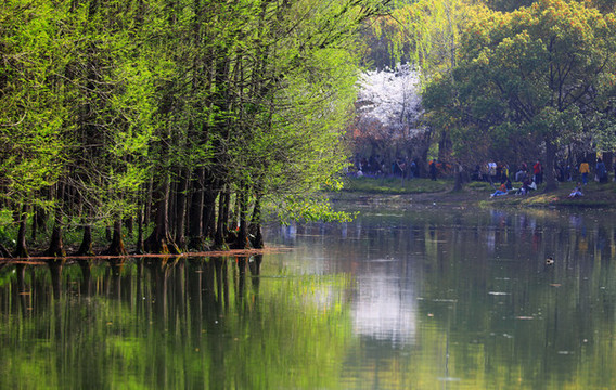 公園