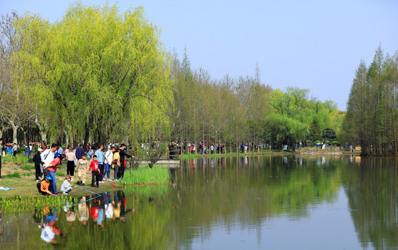 公園