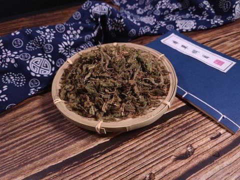 伸筋草中藥