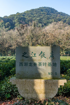 浙江杭州九溪風景區(qū)