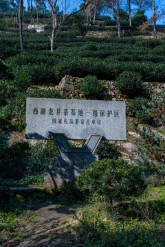 浙江杭州九溪煙樹風(fēng)景區(qū)