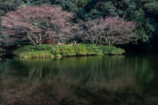 浙江杭州九溪煙樹風(fēng)景區(qū)